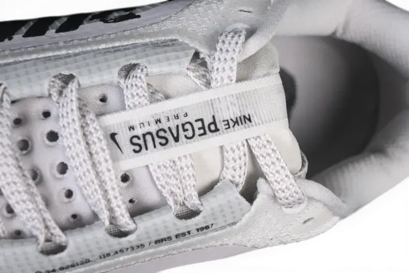 Nike Pegasus Premium Run