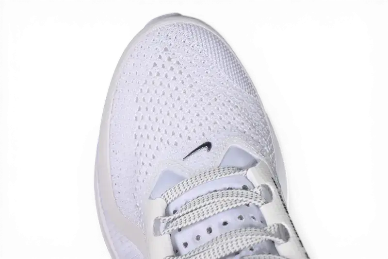 Nike Pegasus Premium White Metallic Silver